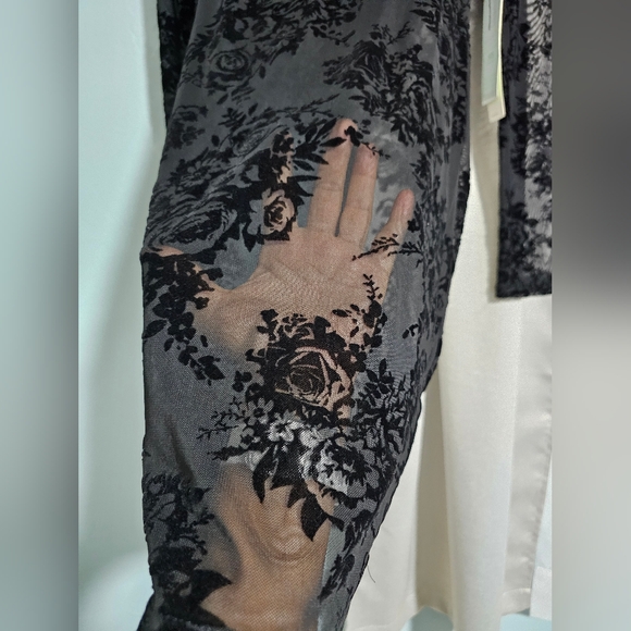 IRIS | NWT | Black Sheer Floral Velvet Burnout Long Sleeve Dress - Picture 6 of 8